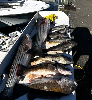 New Jersey Fishing Haul